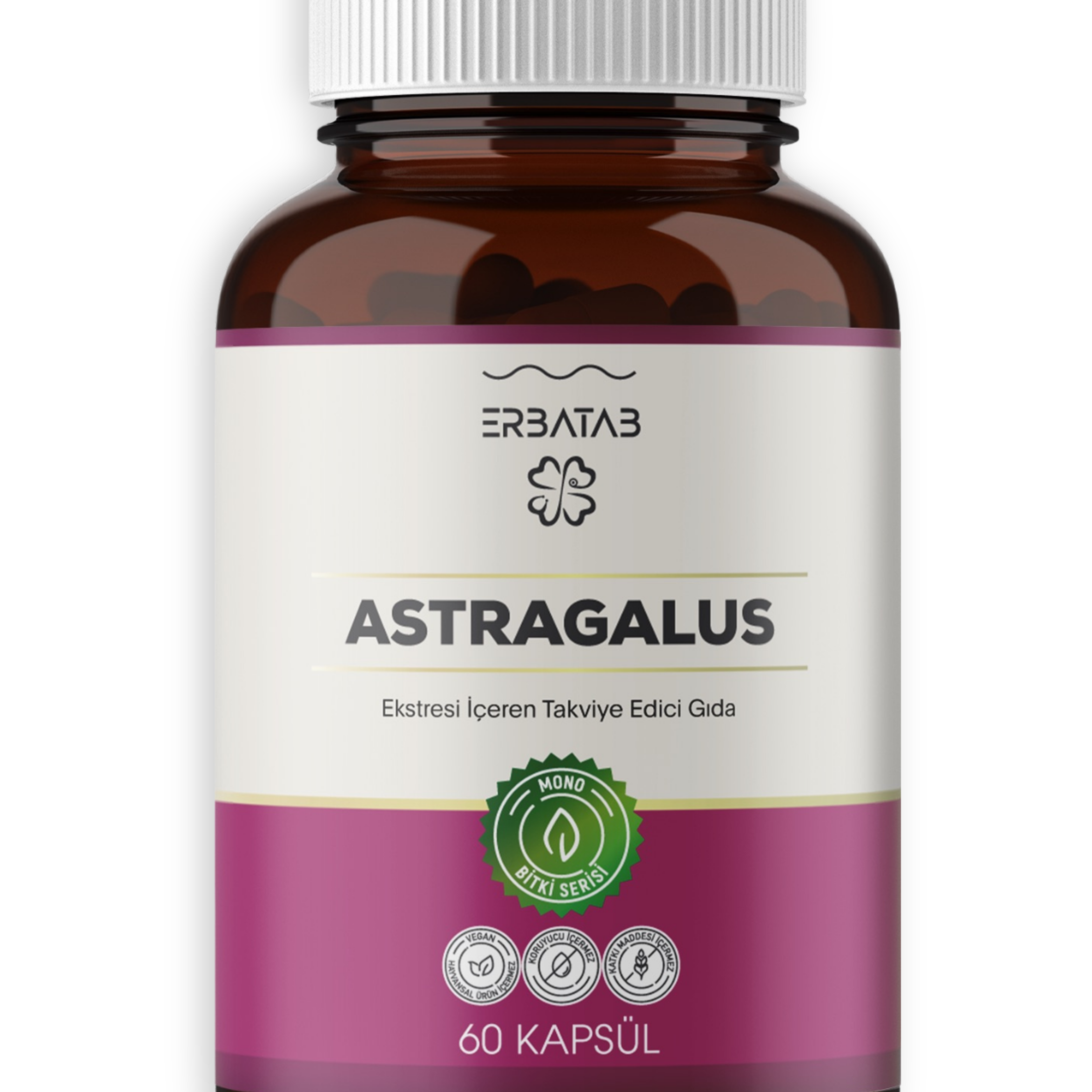 ASTRAGALUS.png