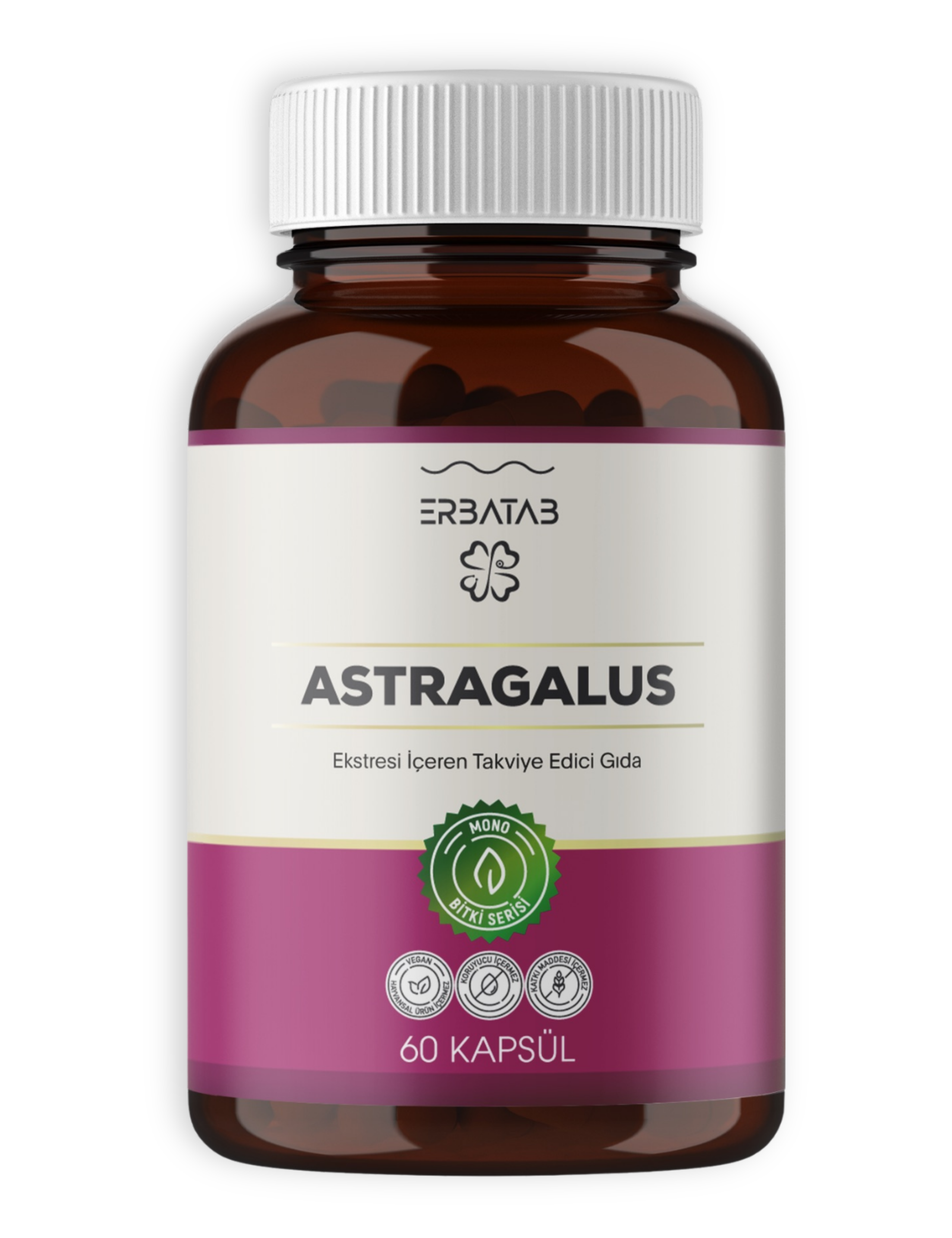 ASTRAGALUS.png