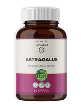 Erbatab Astragalus Çin Geveni Ekstresi 60 Kapsül