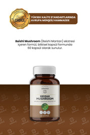 Erbatab Reishi Mantarı Ekstresi 60 Kapsü