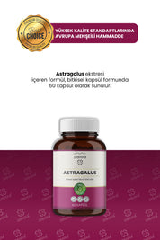 Erbatab Astragalus Çin Geveni Ekstresi 60 Kapsül
