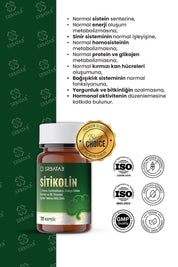 ERBATAB Sitikolin – L-Tirozin, Fosfatidilserin, Ginkgo Biloba Ekstraktı ve B6 Vitamini İçeren Takviye Edici Gıda – 30 Vcaps®