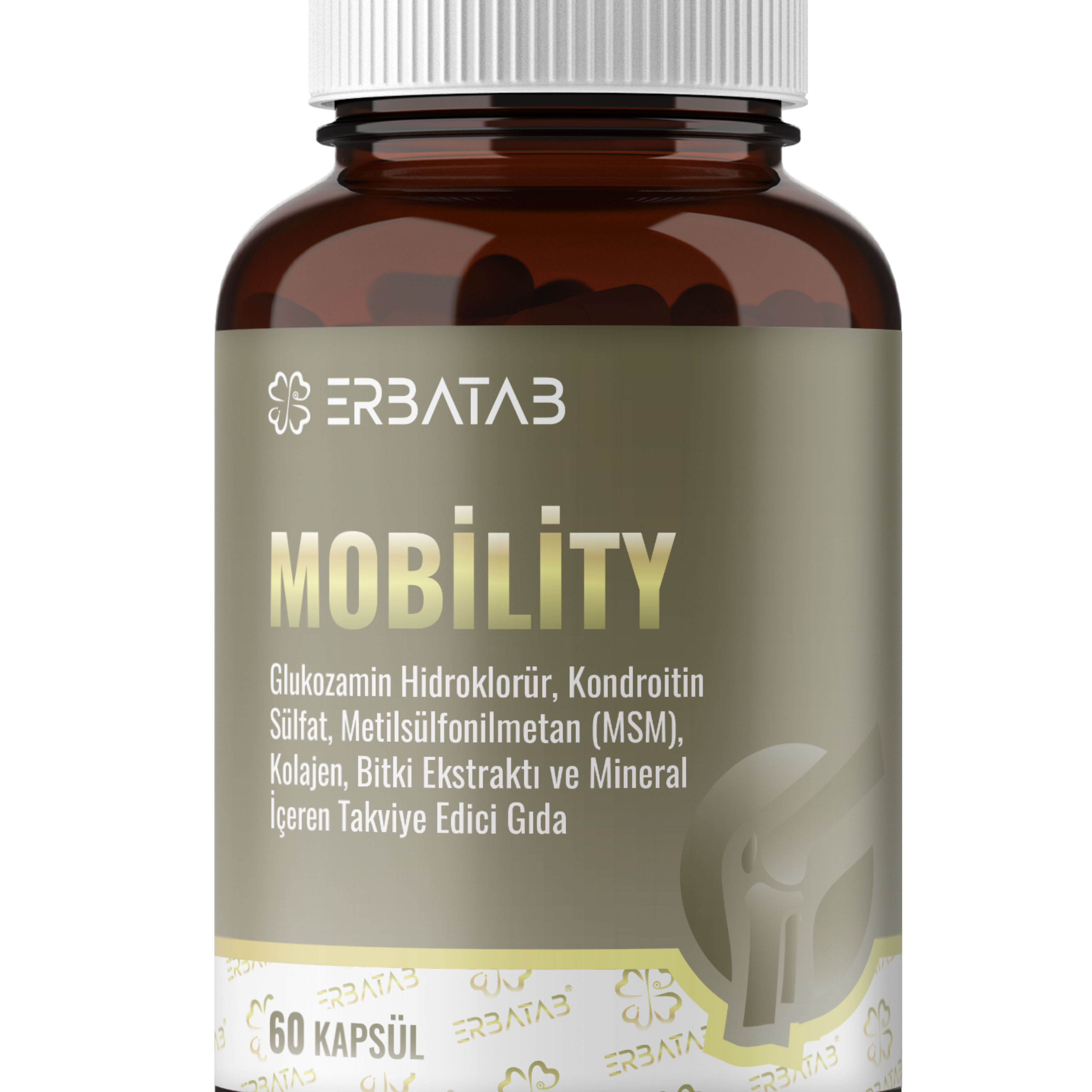 MOBILITY.png