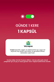 Erbatab Magnezyum 3 Lü Form (BİSGLİSİNAT, SİTRAT, MALAT) & Vitamin B2 , B3 , B6 - 60 Kapsül