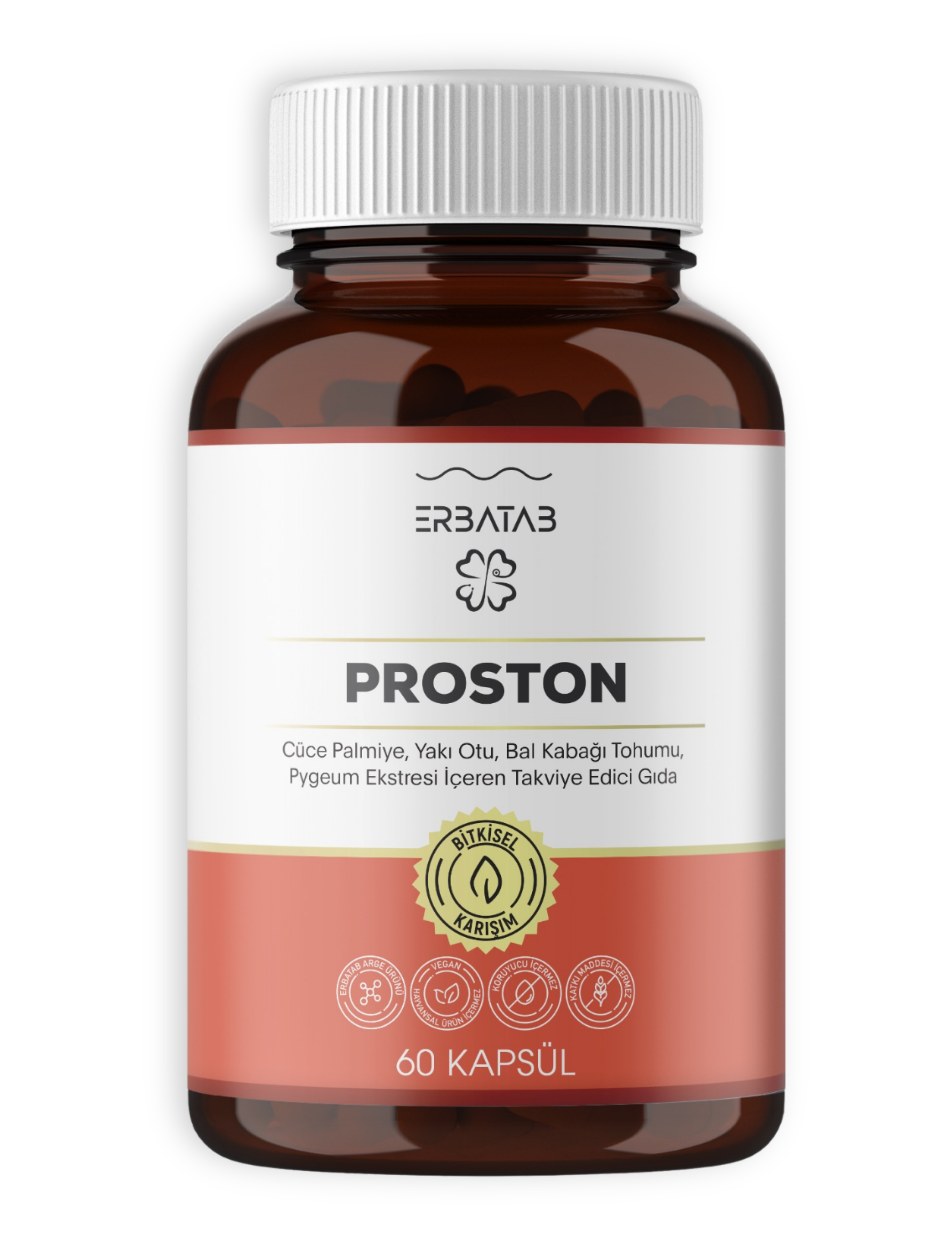 PROSTON.png